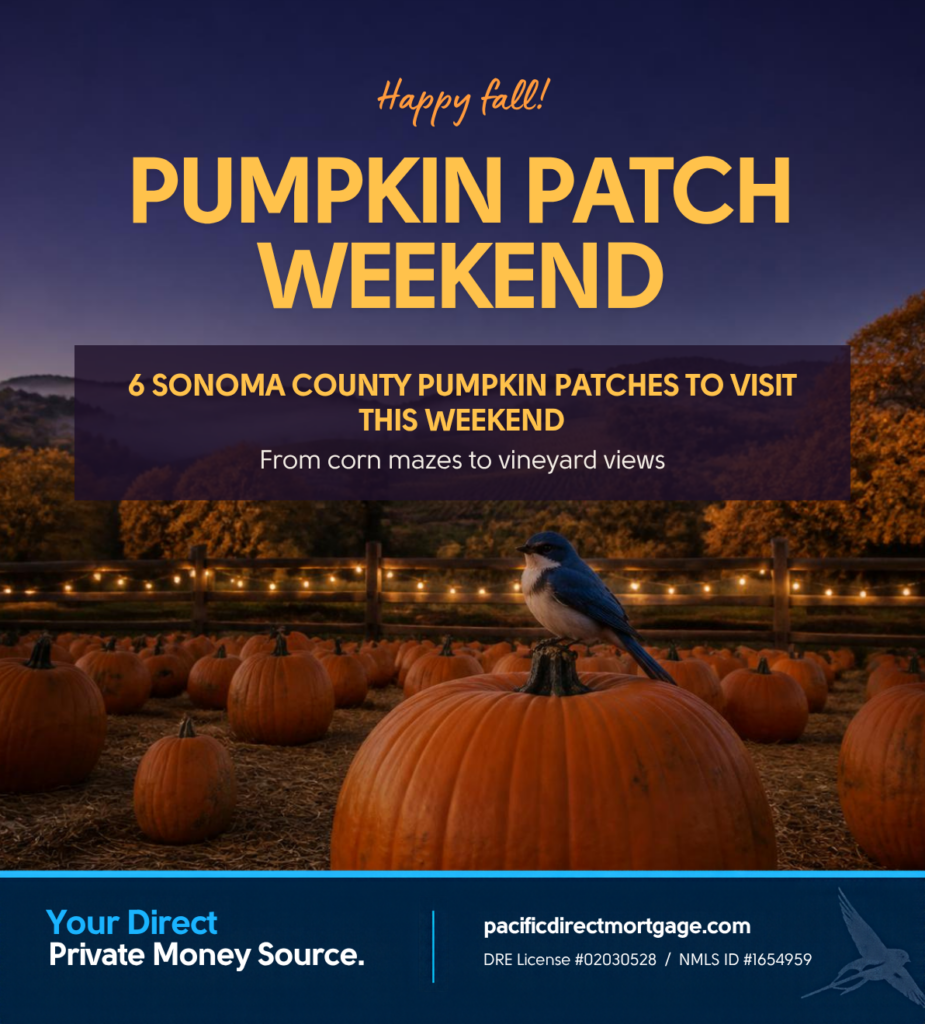 Sonoma County P